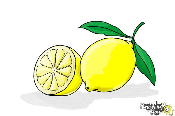 how to draw a lemon