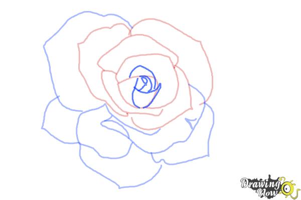roses drawings step by step