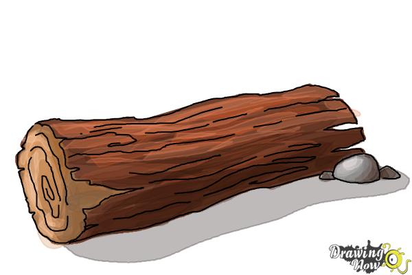 tree log drawing