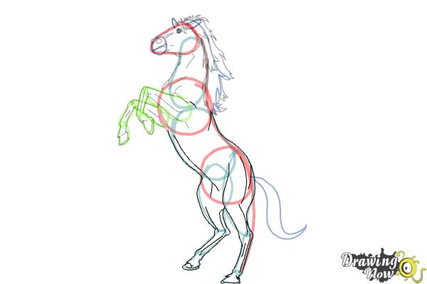 How to Draw a Horse Body - DrawingNow
