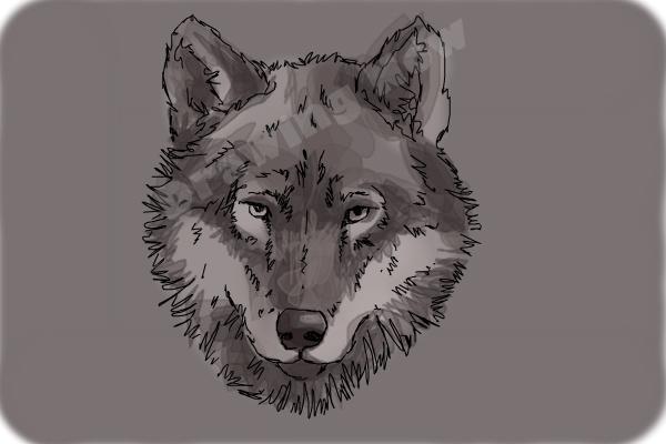 wolf face outline simple