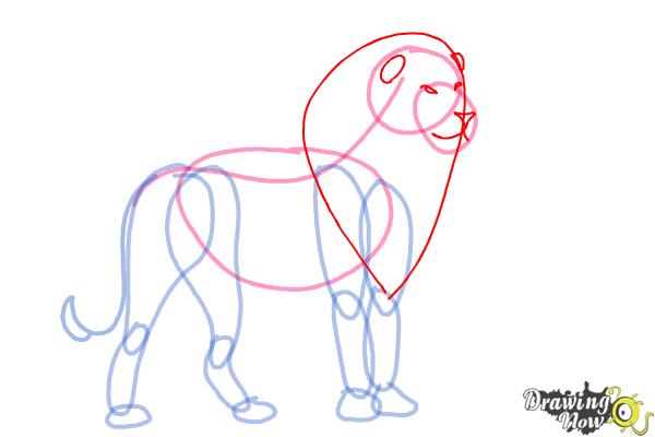 How to Draw a Lion Step by Step - DrawingNow