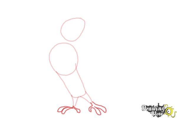 How To Draw Roberto From Rio 2 Drawingnow