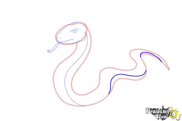 How to Draw a Snake Step by Step - DrawingNow