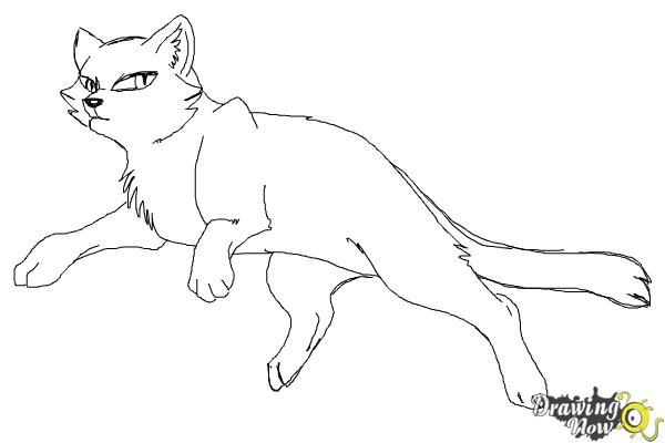 warrior cats easy to draw