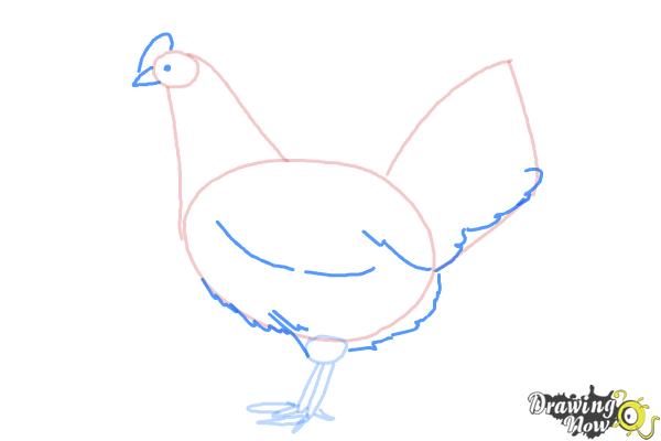 How to Draw a White Leghorn Chicken - DrawingNow