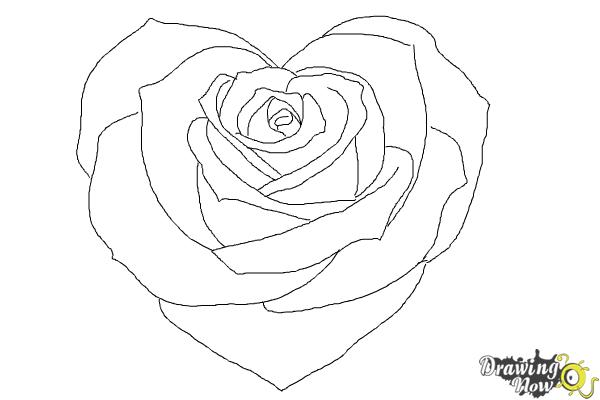 How to Draw a Heart Rose | DrawingNow