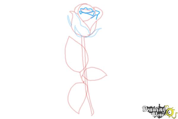 How to Draw a Rose Step by Step for Beginners - DrawingNow