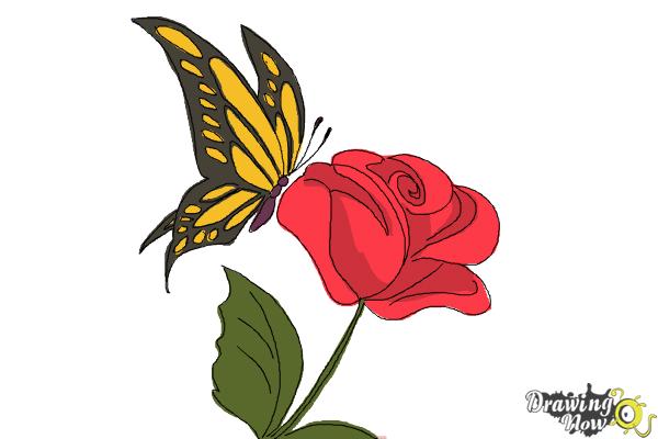 how to draw a butterfly on a rose