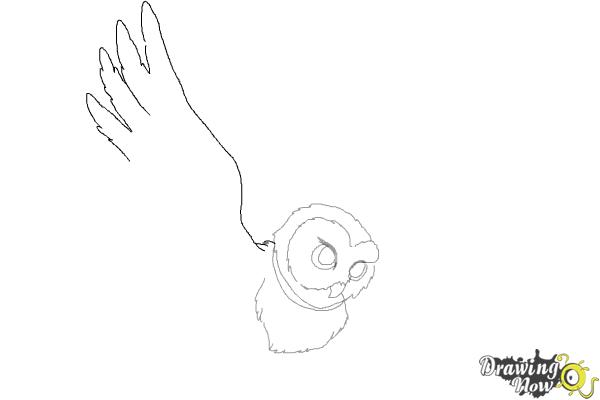 How to Draw Hedwig from Harry Potter - DrawingNow