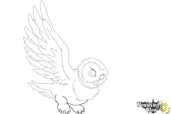 Drawing Owl Harry Potter