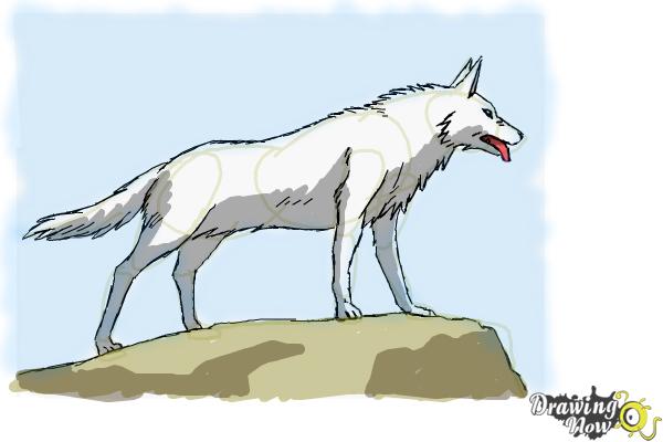 Transparent Anime Wolf Png  Anime Drawing Wolf Cute Png Download   Transparent Png Image  PNGitem