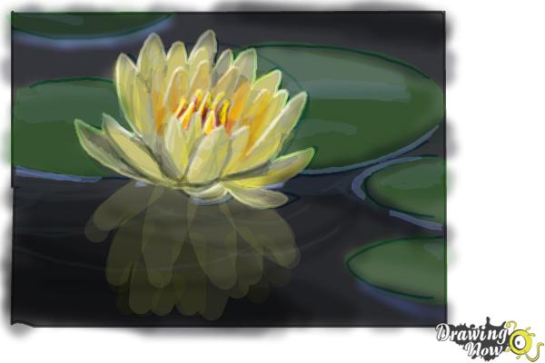 how to draw a lily pad flower